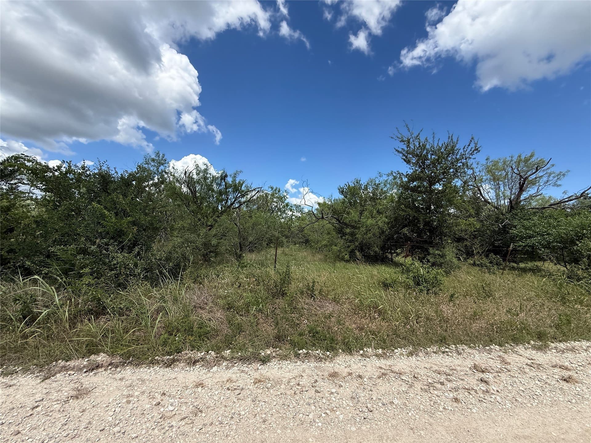 4 acres in Navarro County gallery image 3