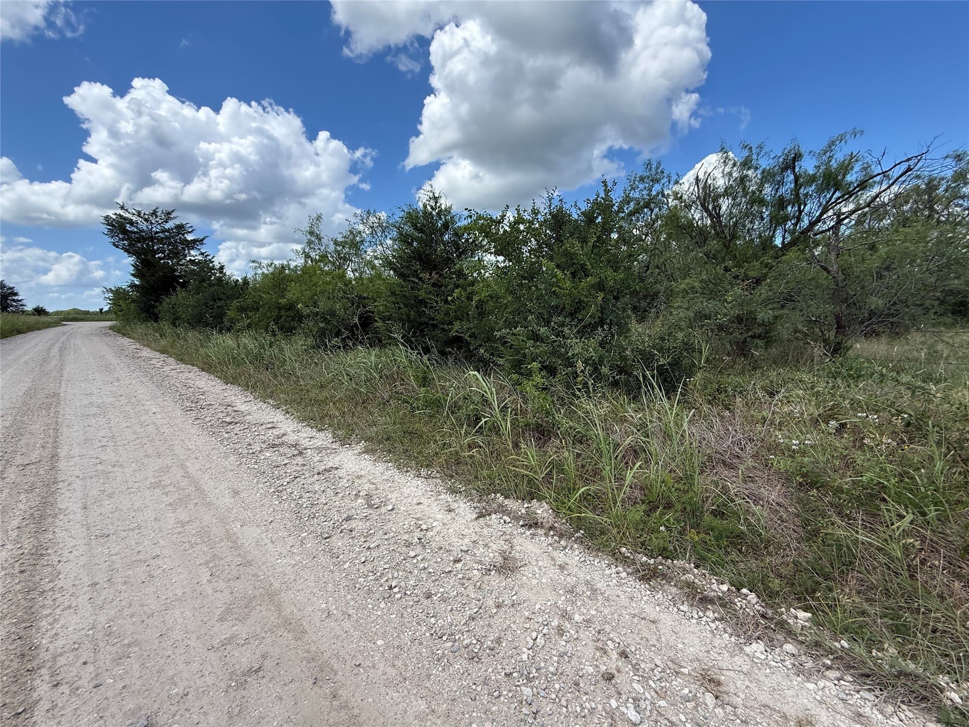 4 acres in Navarro County gallery image 2