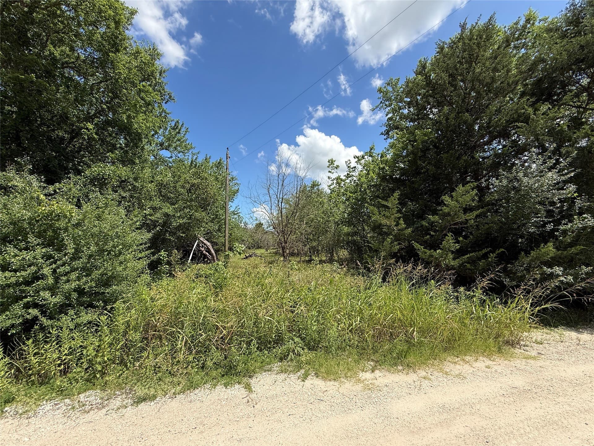 4 acres in Navarro County gallery image 4