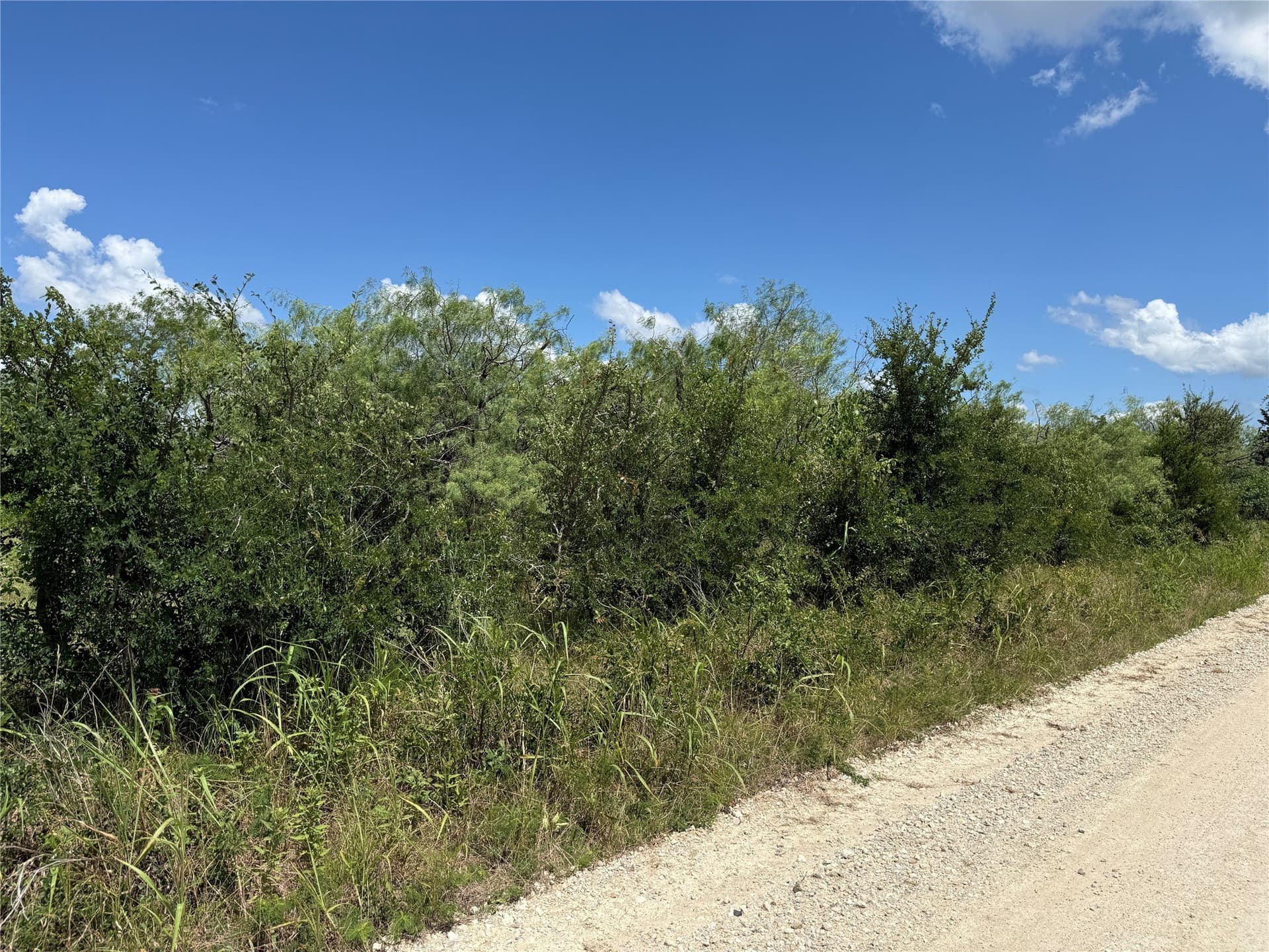 4 acres in Navarro County featured view