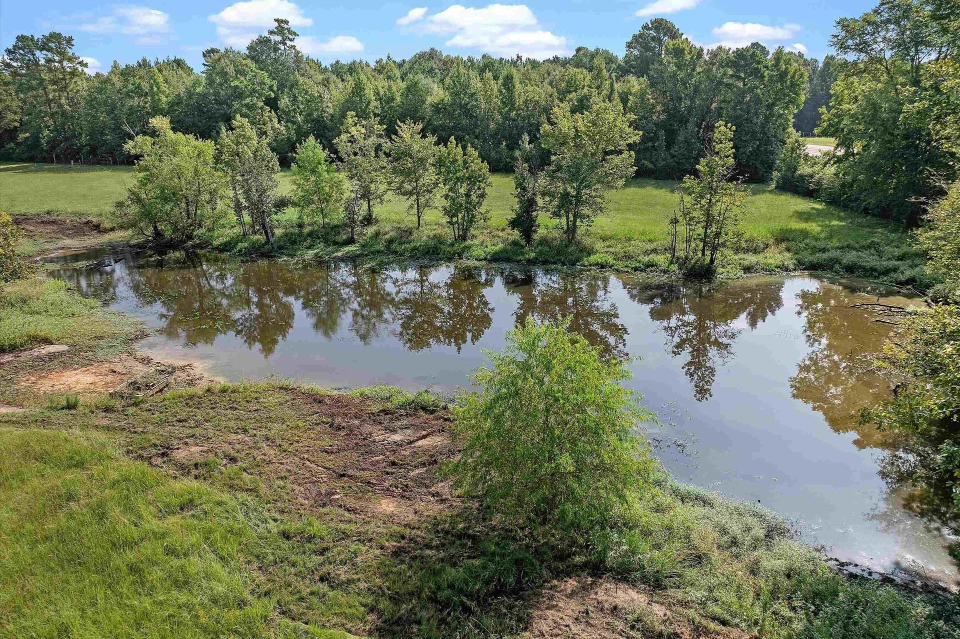 10.1 acres in Panola County gallery image 3