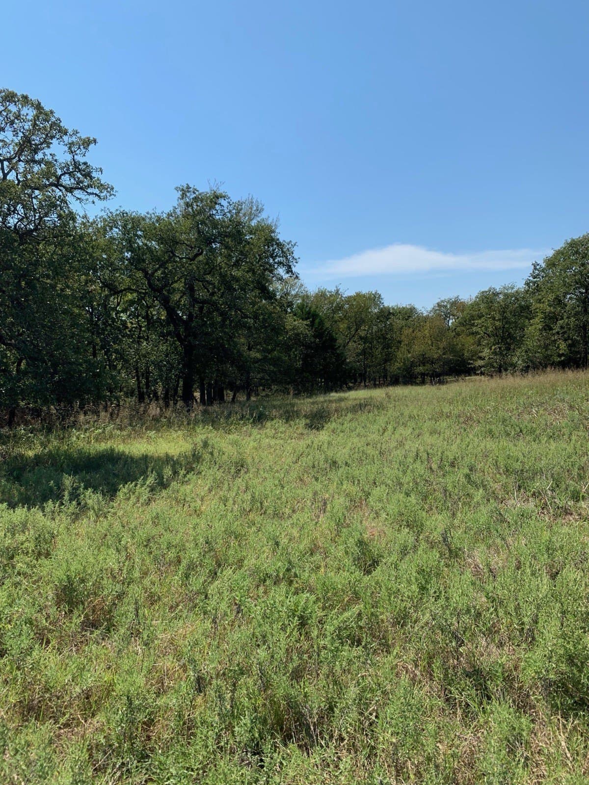 5.01 acres in Wise County - photo 5