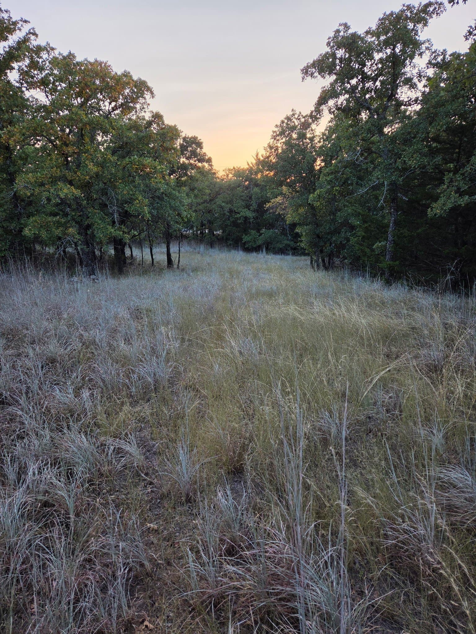 5.01 acres in Wise County - photo 7
