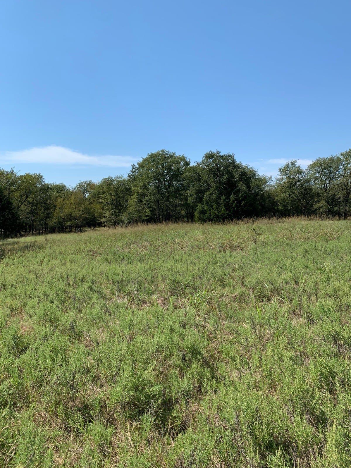 5.01 acres in Wise County - photo 8