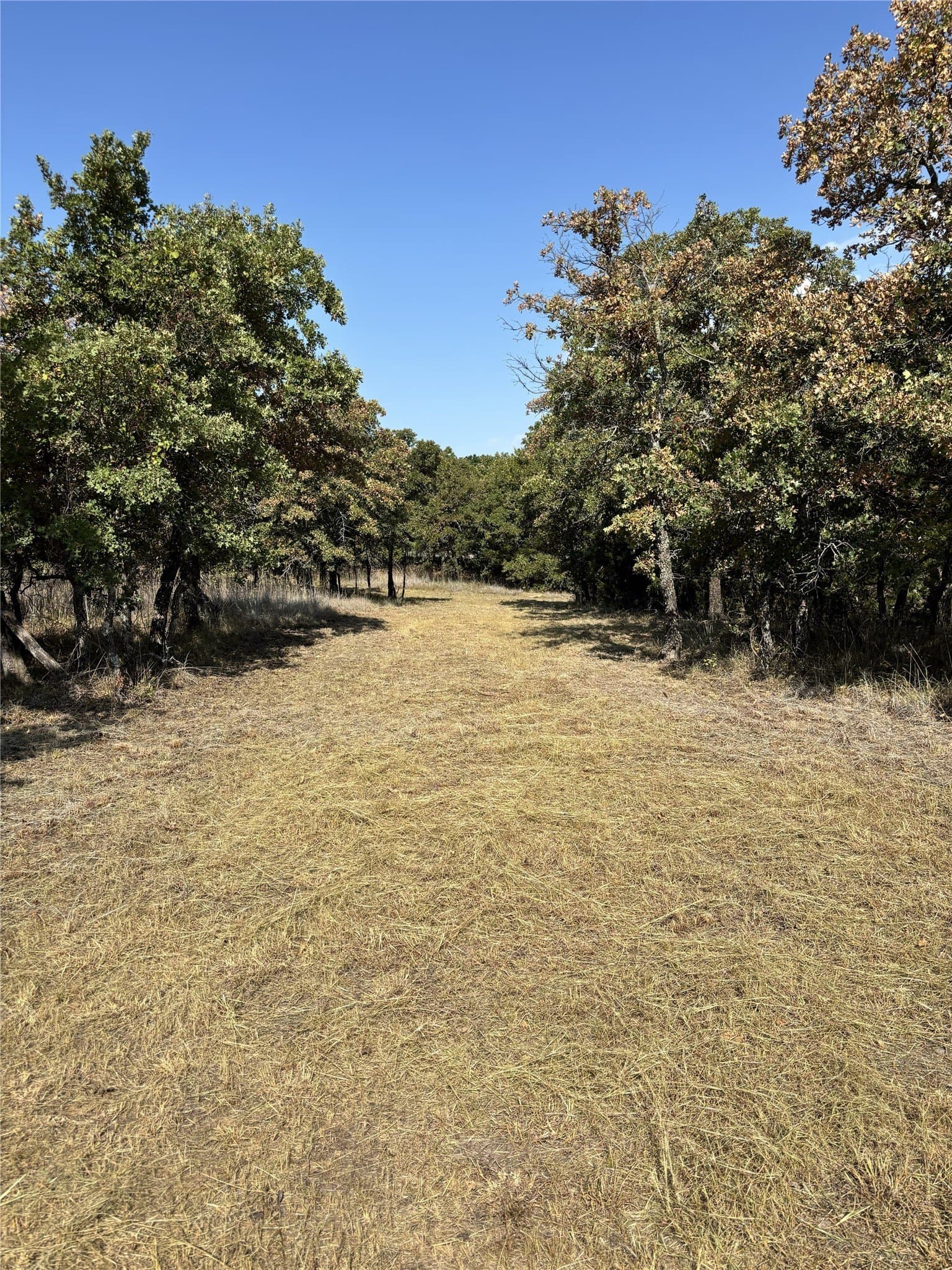5.01 acres in Wise County
