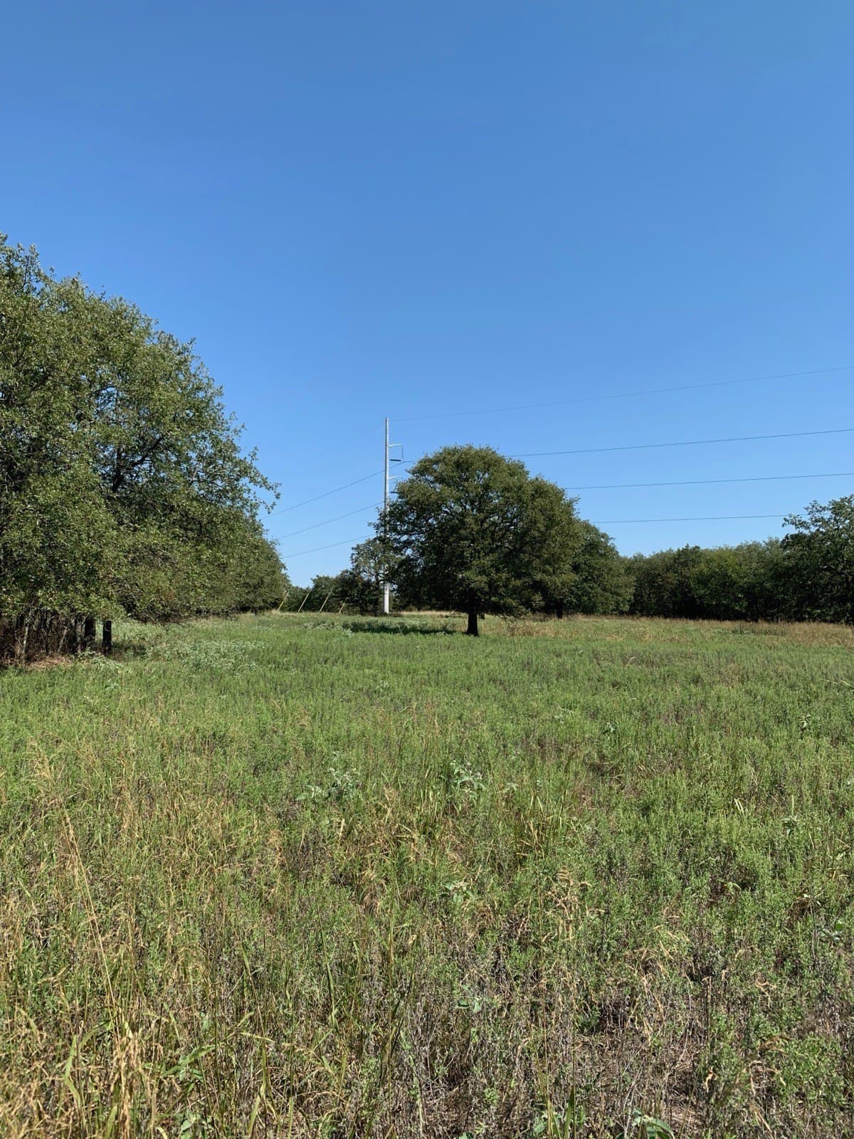 5.01 acres in Wise County - photo 4