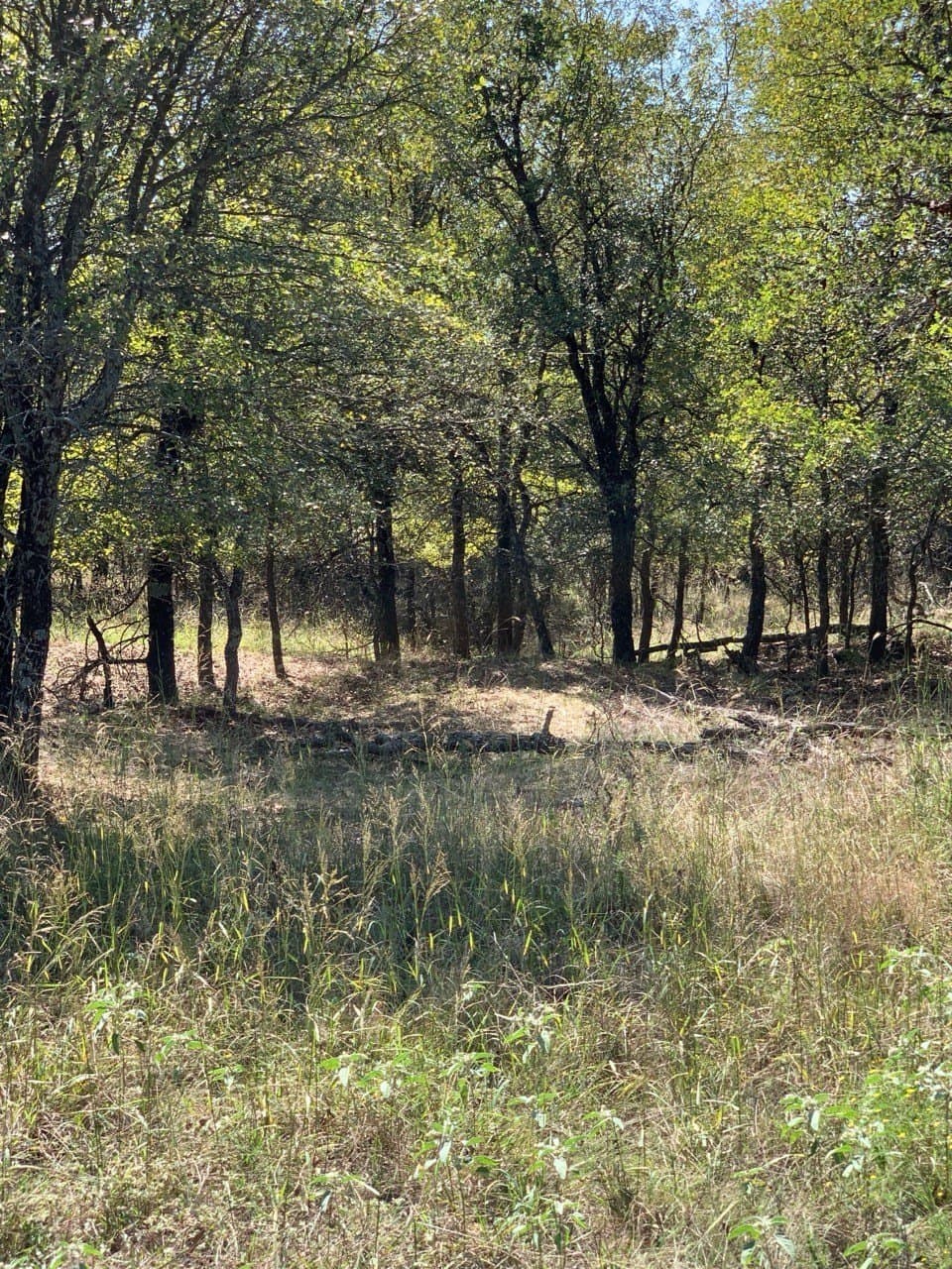 5.01 acres in Wise County - photo 6