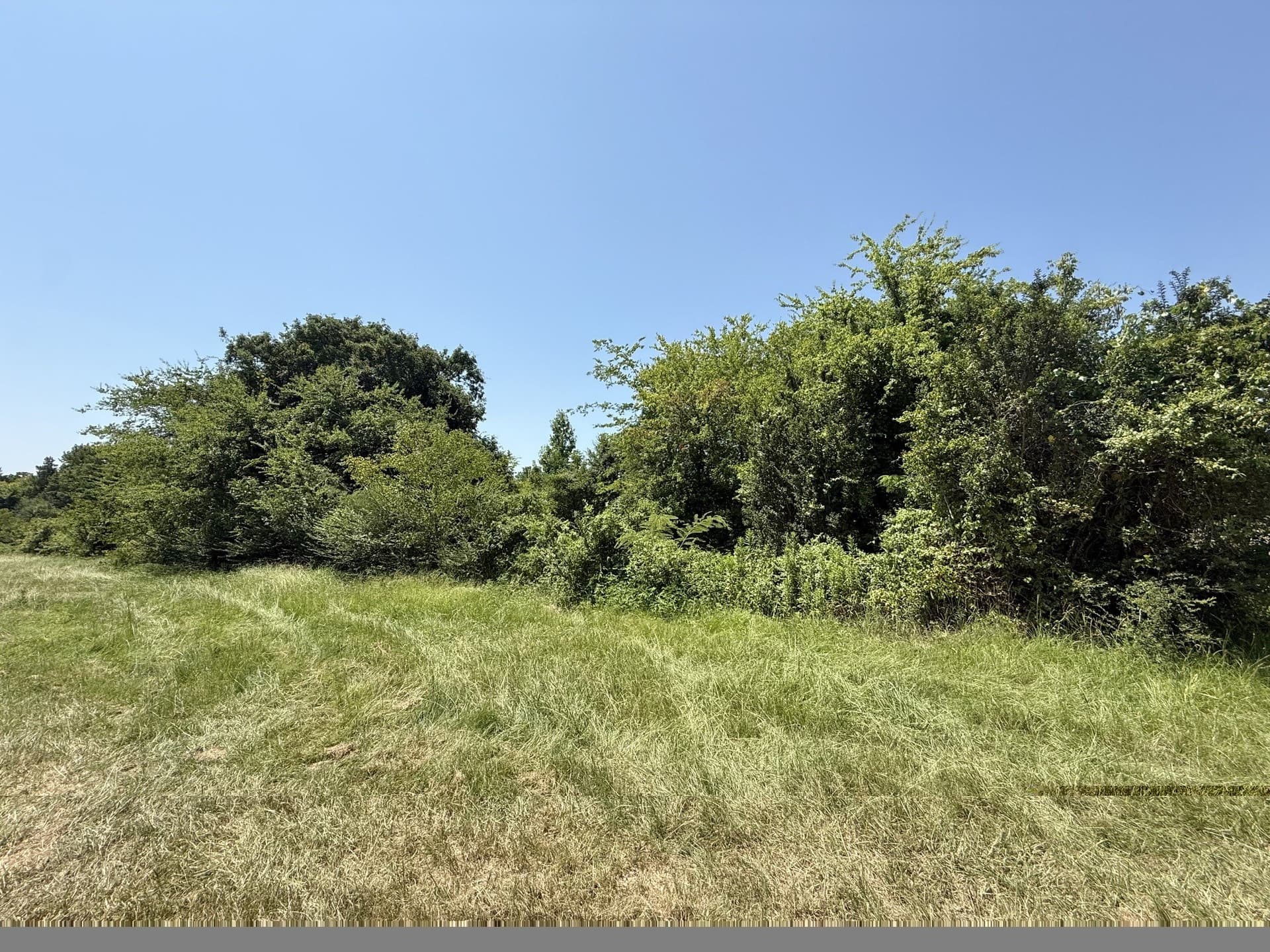 17.7 acres in Titus County