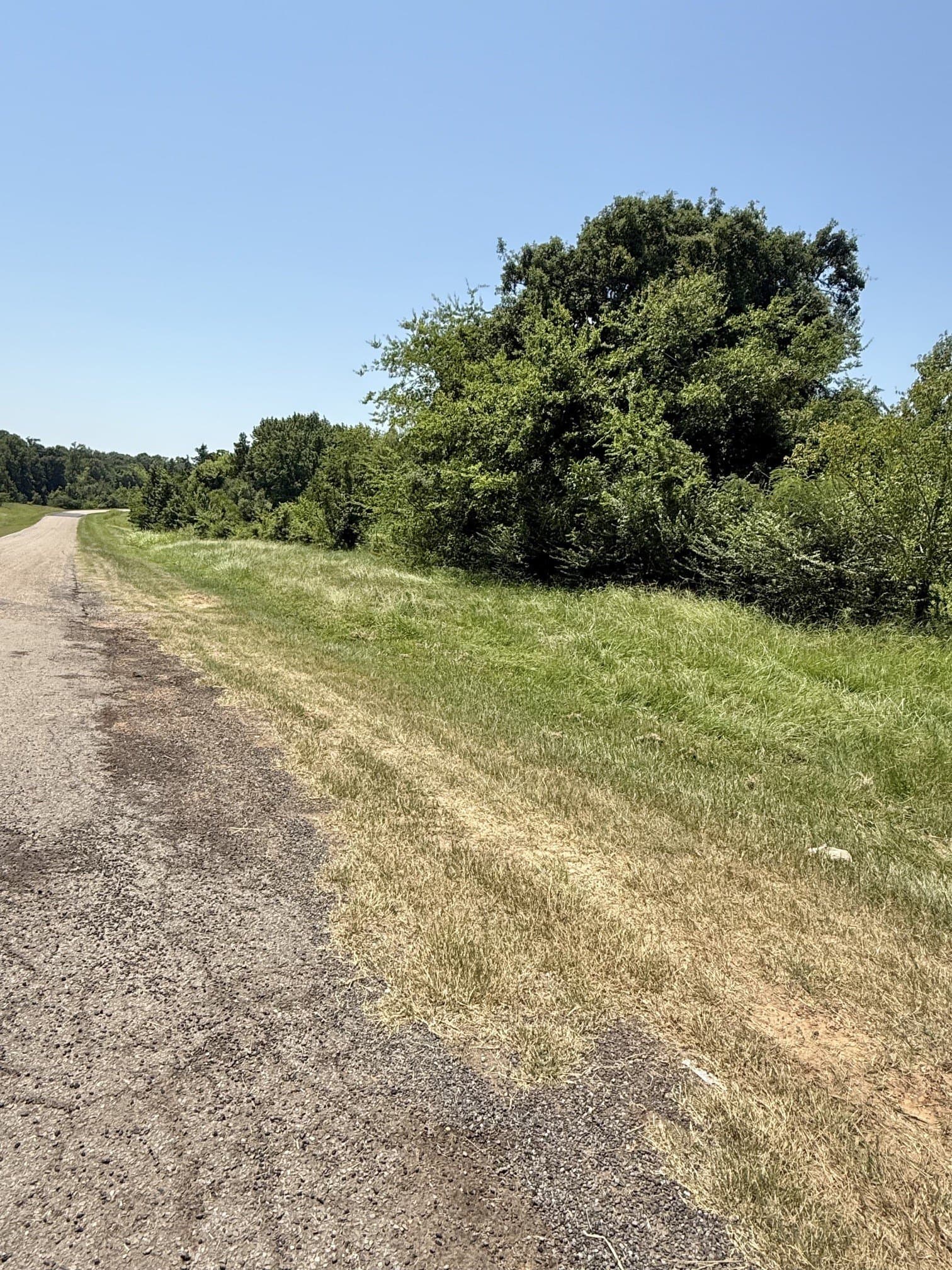 17.7 acres in Titus County - photo 3