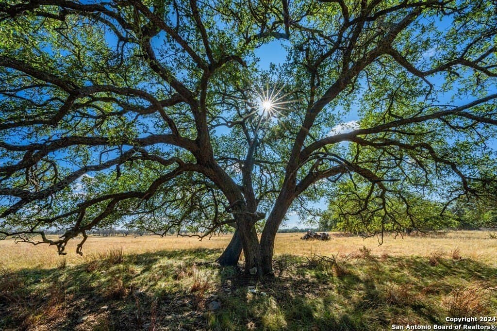 6.3 acres in Gillespie County - photo 9
