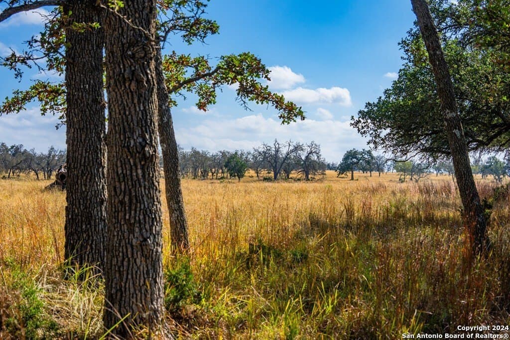 6.3 acres in Gillespie County
