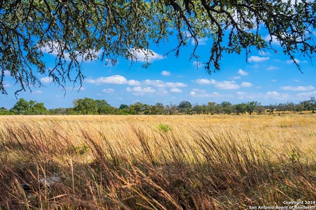 6.3 acres in Gillespie County - photo 11