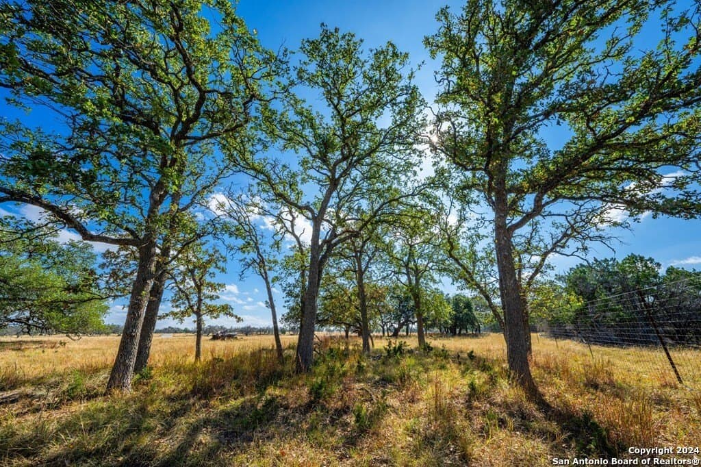 6.3 acres in Gillespie County - photo 10