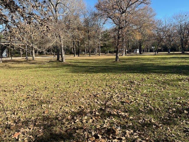 1.34 acres in Limestone County gallery image 2