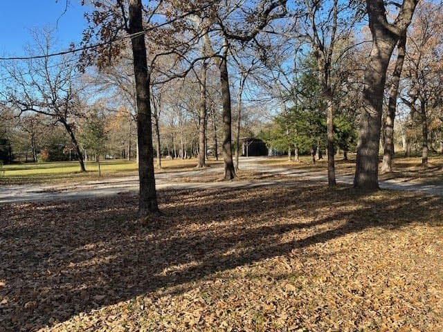 1.34 acres in Limestone County - photo 7