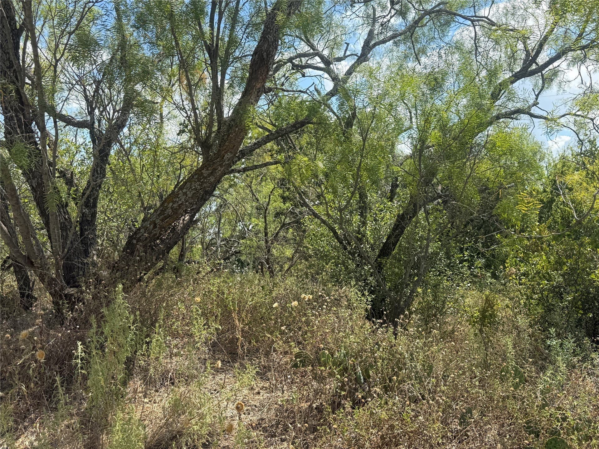 0.11 acres in Brown County - photo 3