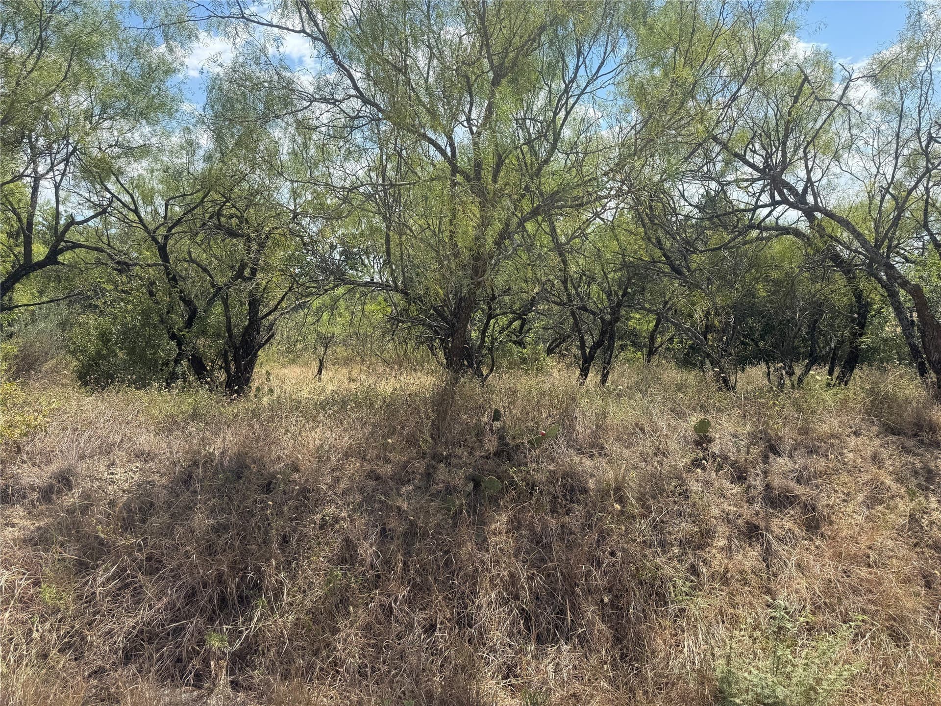 0.11 acres in Brown County - photo 6