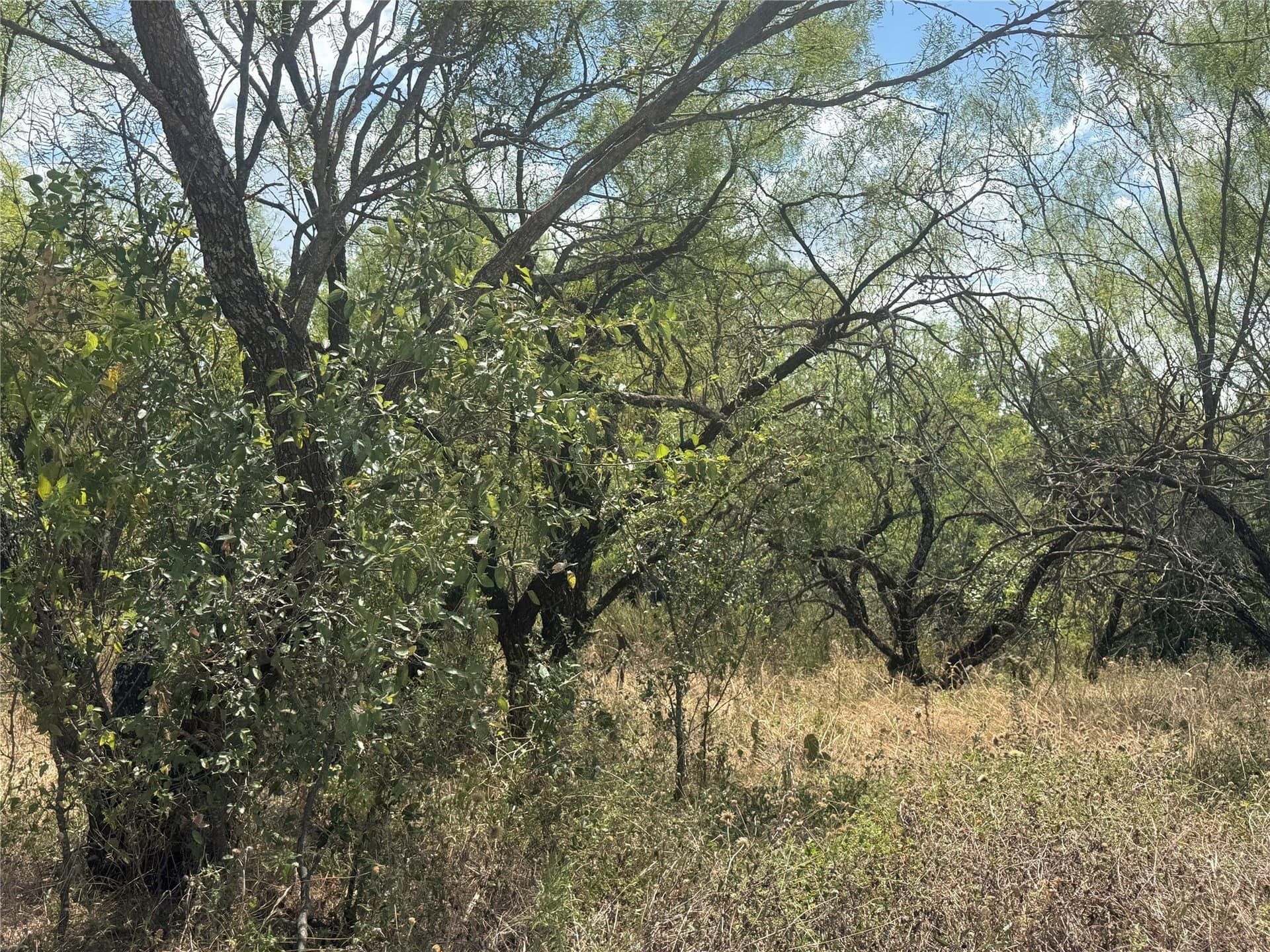 0.11 acres in Brown County - photo 2