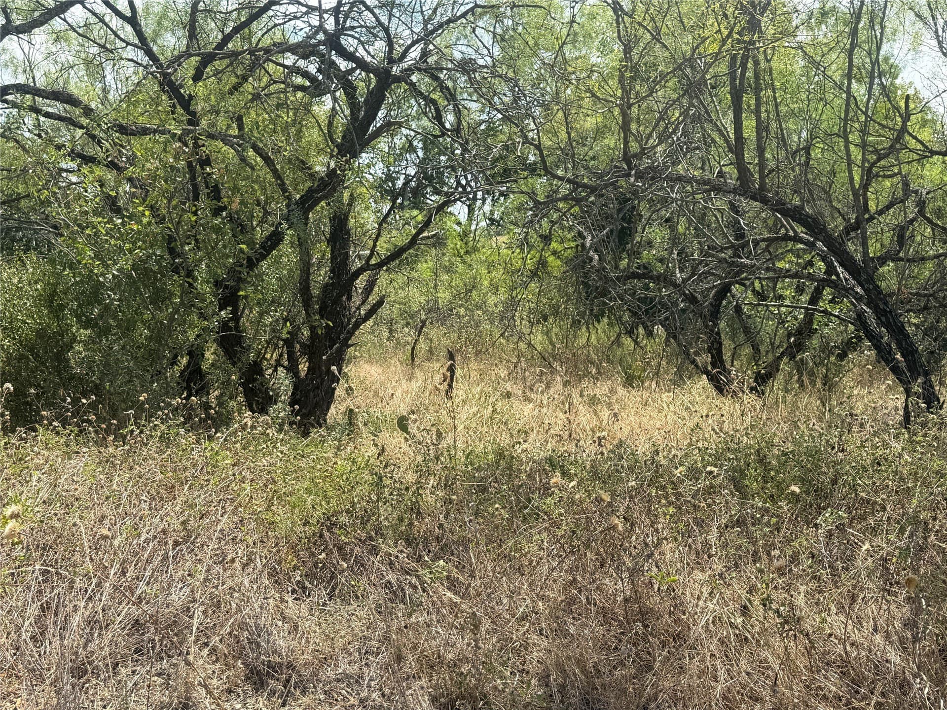 0.11 acres in Brown County - photo 4