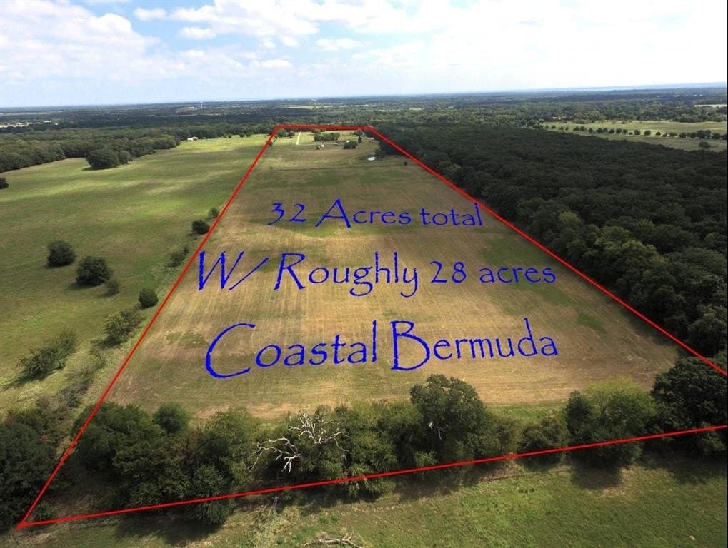 32.17 acres in Hunt County gallery image 2