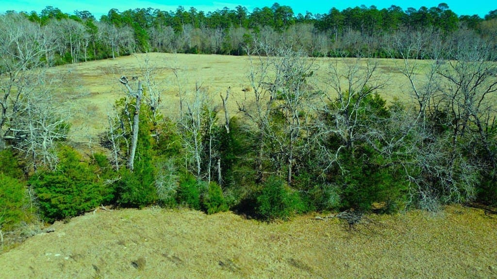 20 acres in Texas County - photo 17
