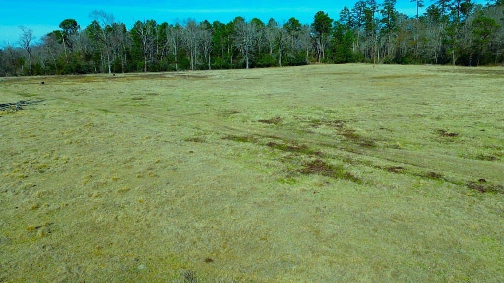20 acres in Texas County - photo 16