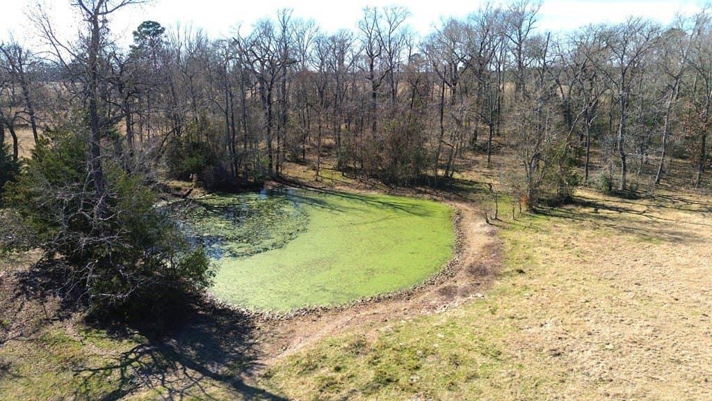 20 acres in Texas County - photo 11