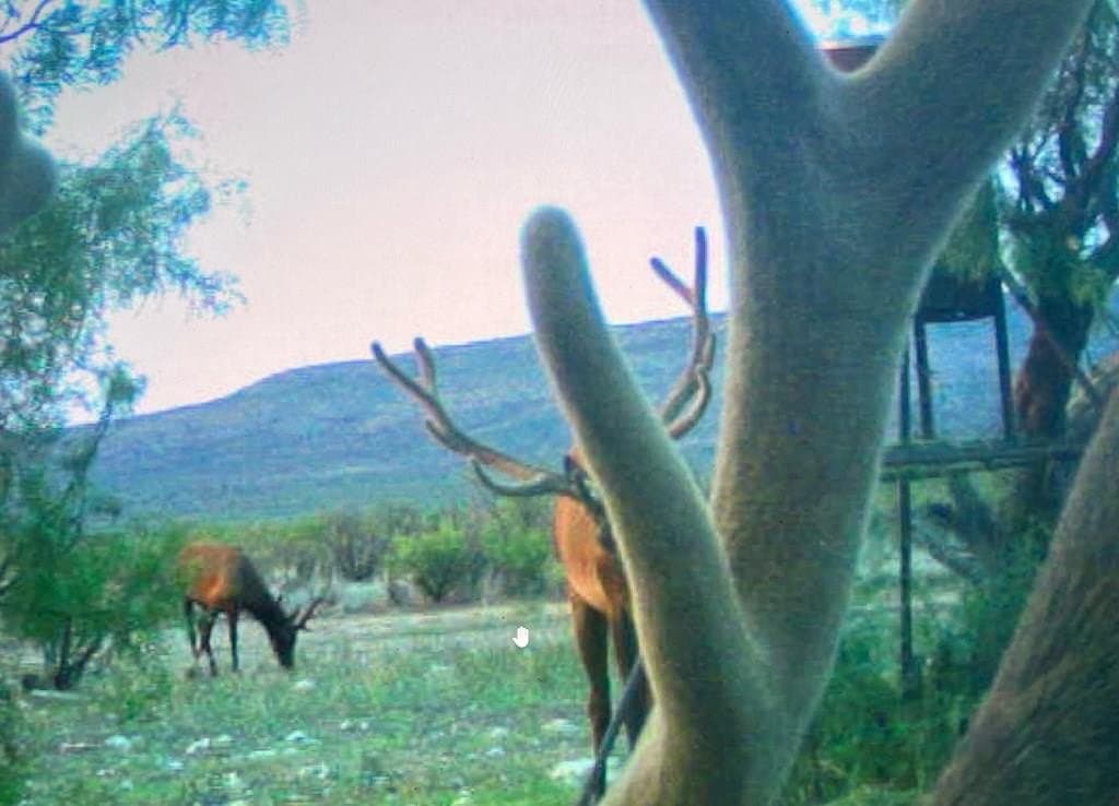 434.86 acres in Edwards County