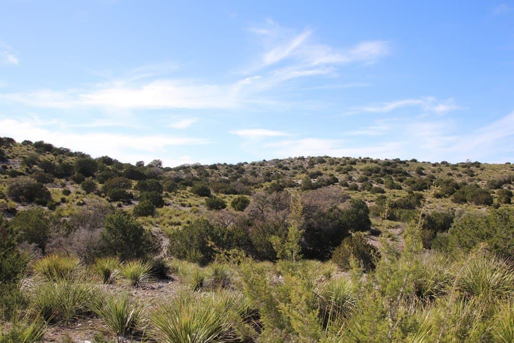 434.86 acres in Edwards County featured view