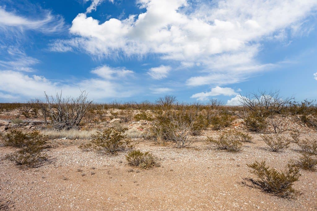 20.42 acres in Ward County gallery image 3
