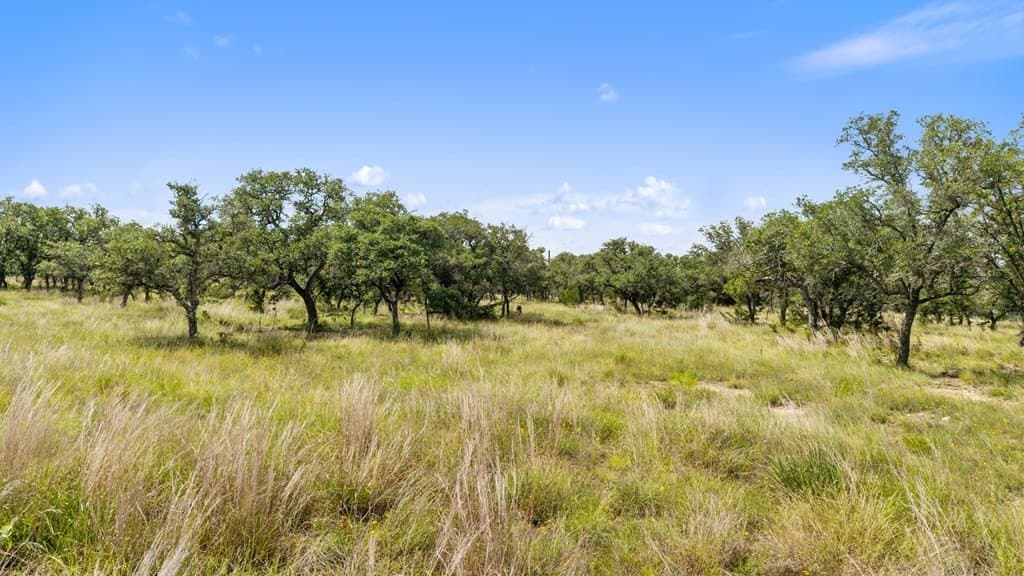 27.22 acres in Gillespie County gallery image 4