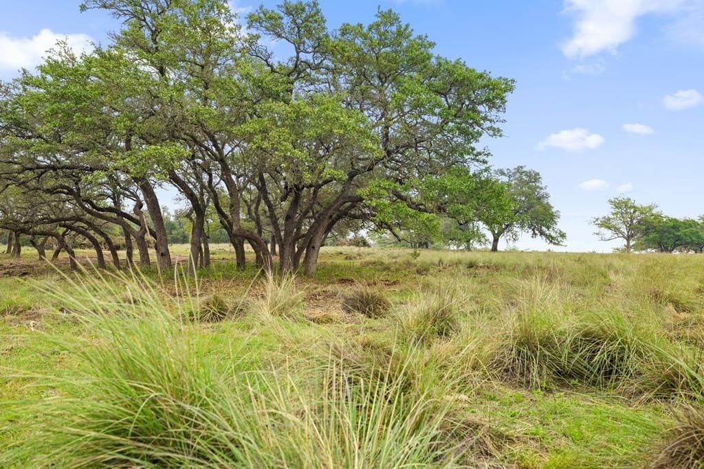 27.22 acres in Gillespie County gallery image 2