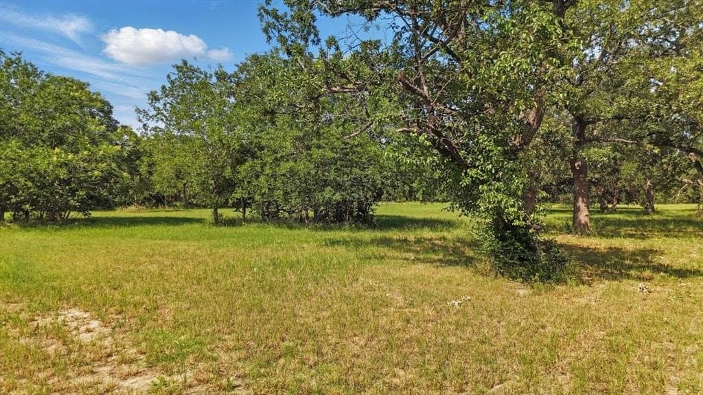 1 acres in Denton County gallery image 4