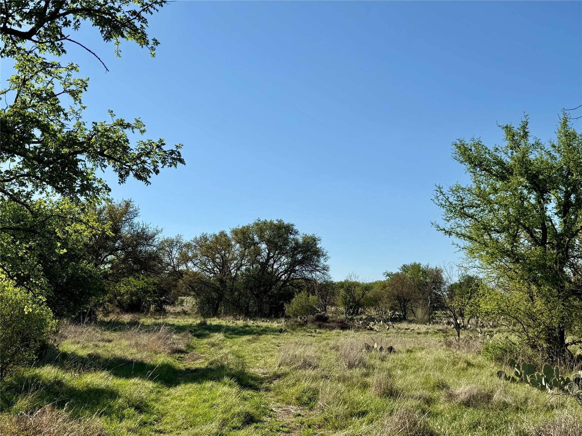 135.76 acres in Brown County - photo 3