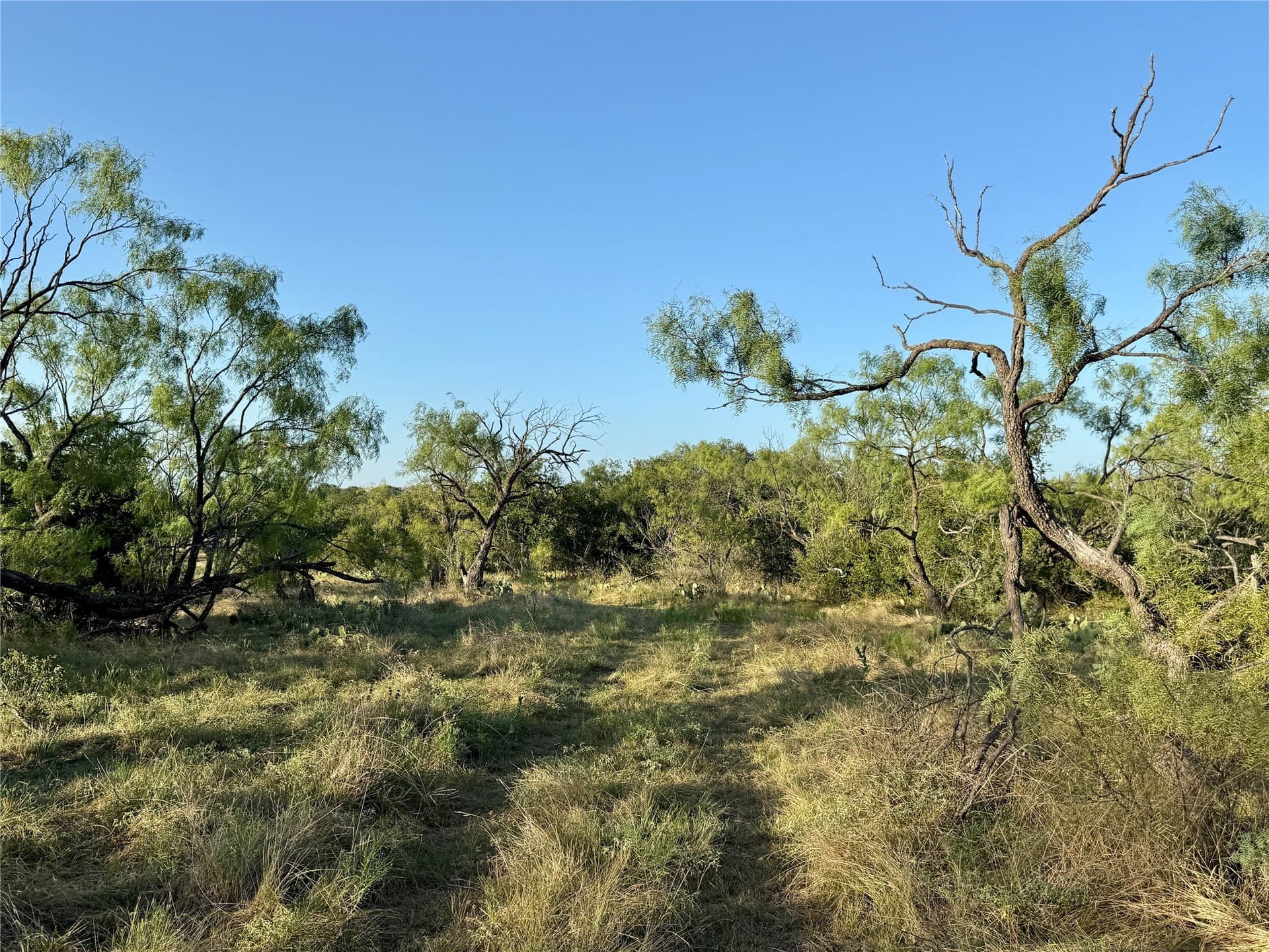 135.76 acres in Brown County - photo 36