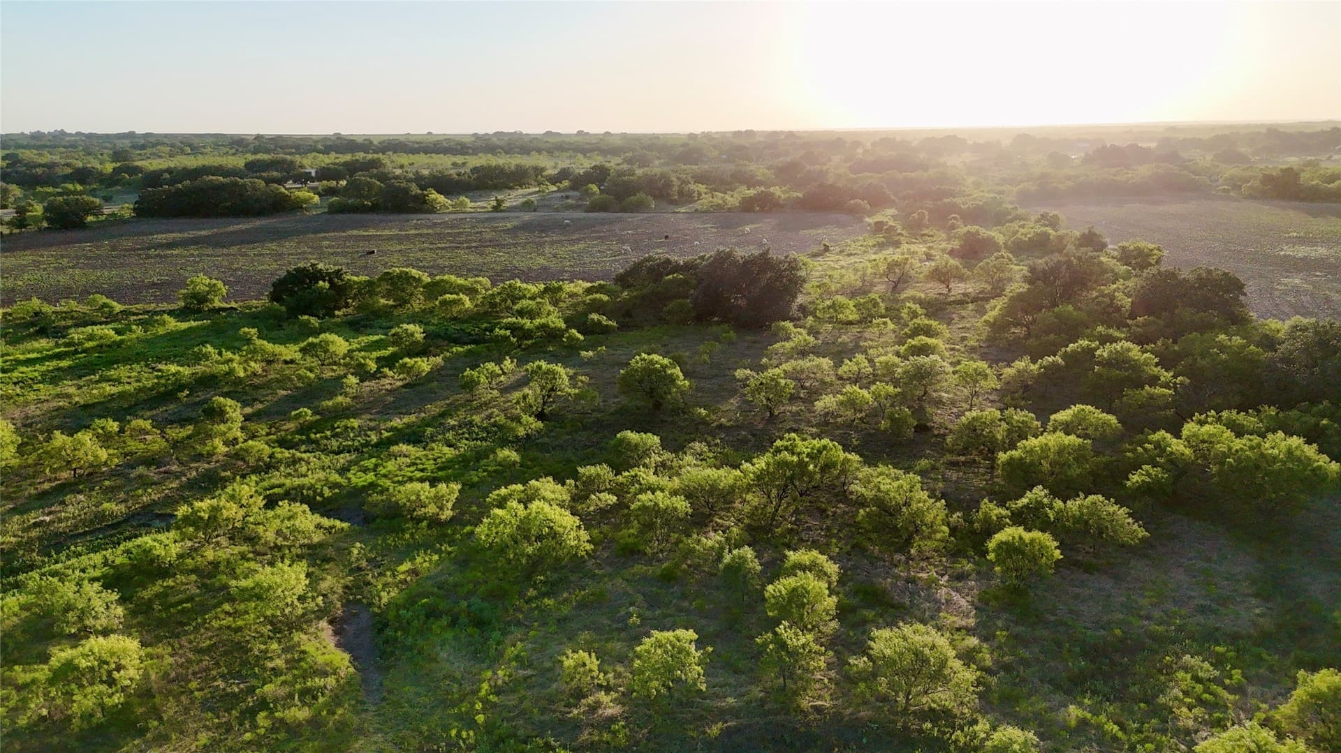 135.76 acres in Brown County - photo 2