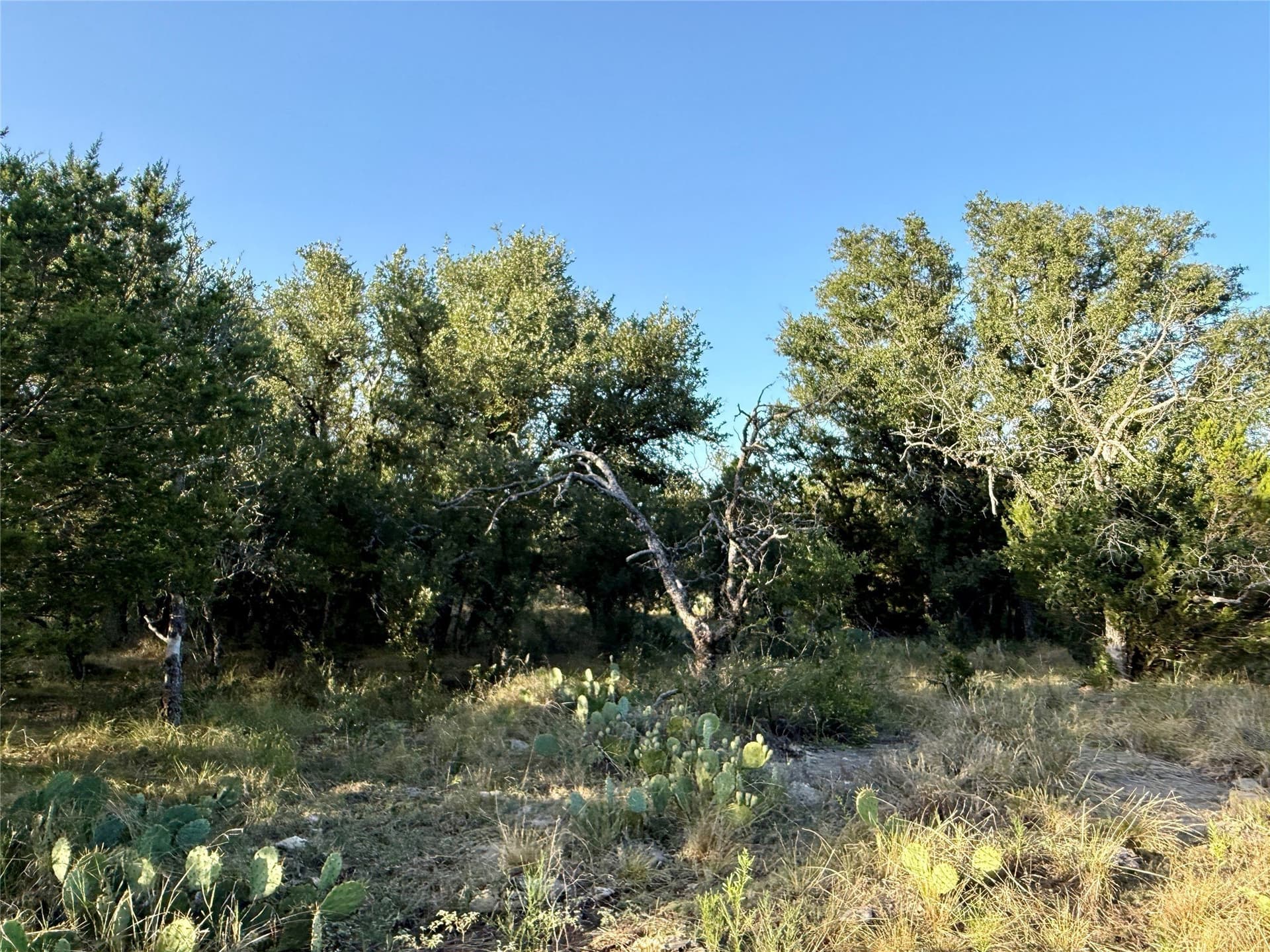 135.76 acres in Brown County - photo 23