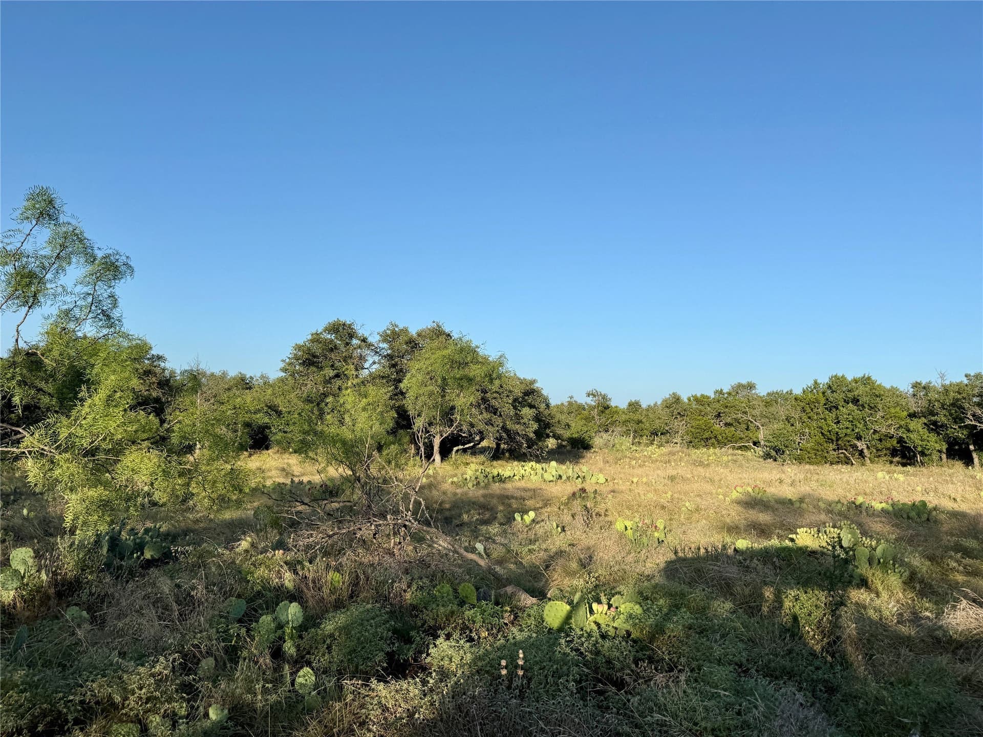 135.76 acres in Brown County - photo 30