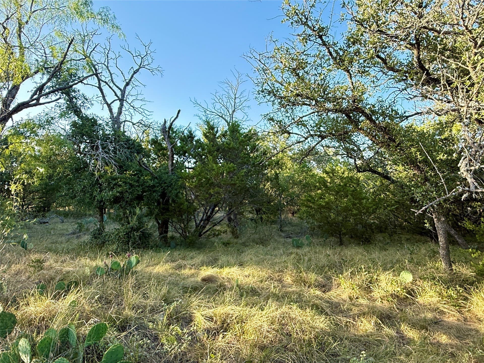 135.76 acres in Brown County - photo 25