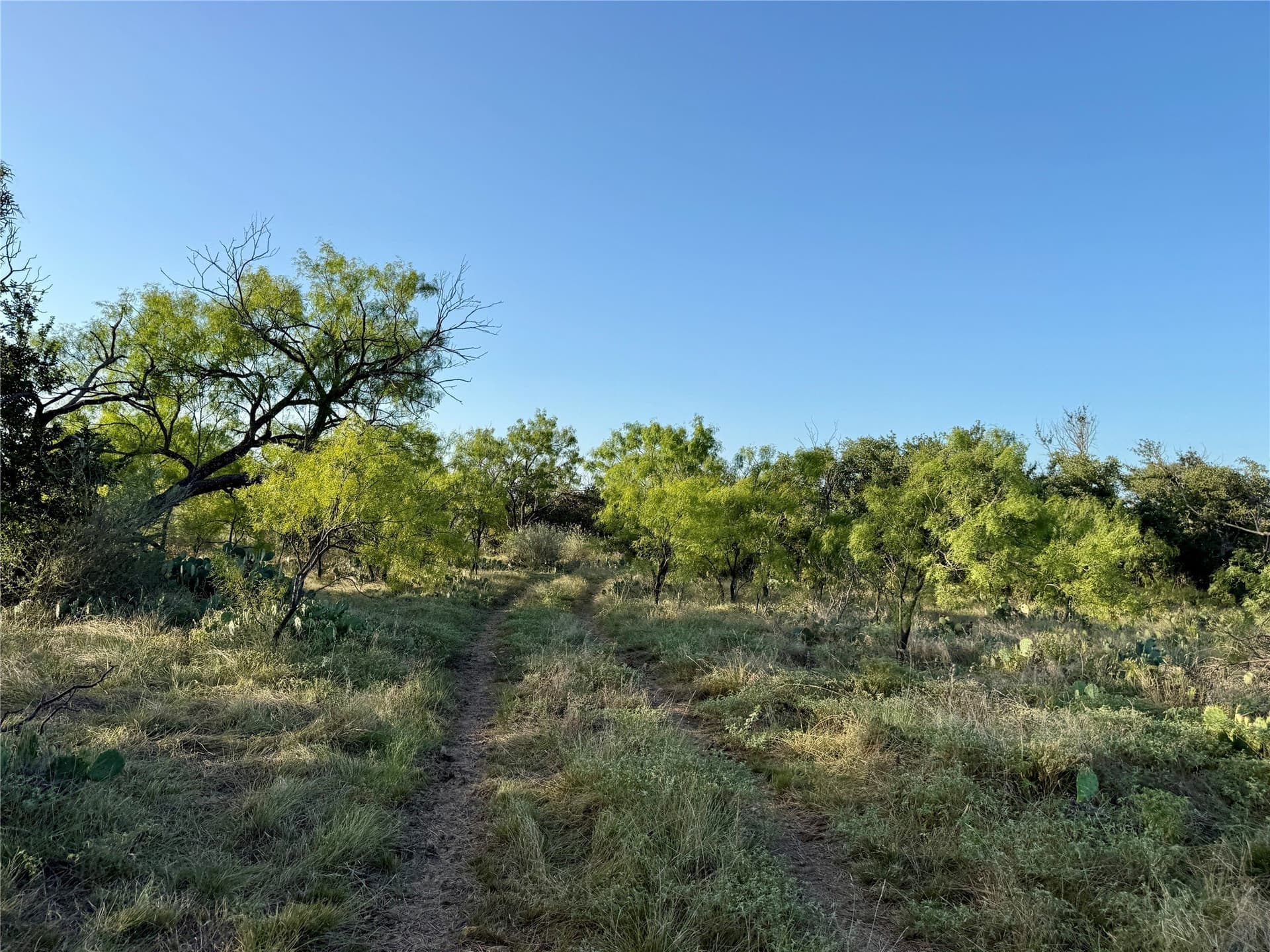 135.76 acres in Brown County - photo 29