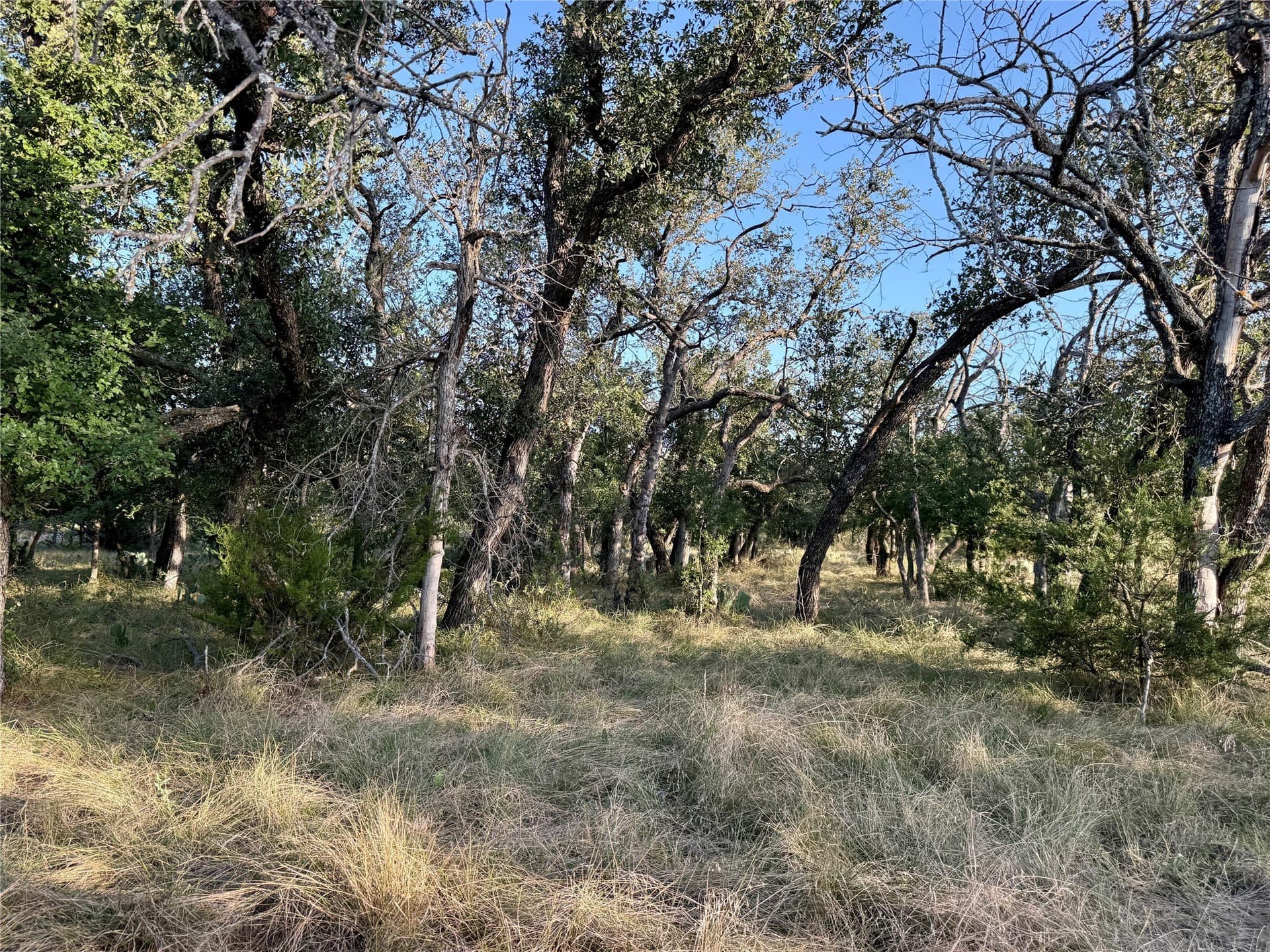 135.76 acres in Brown County - photo 28