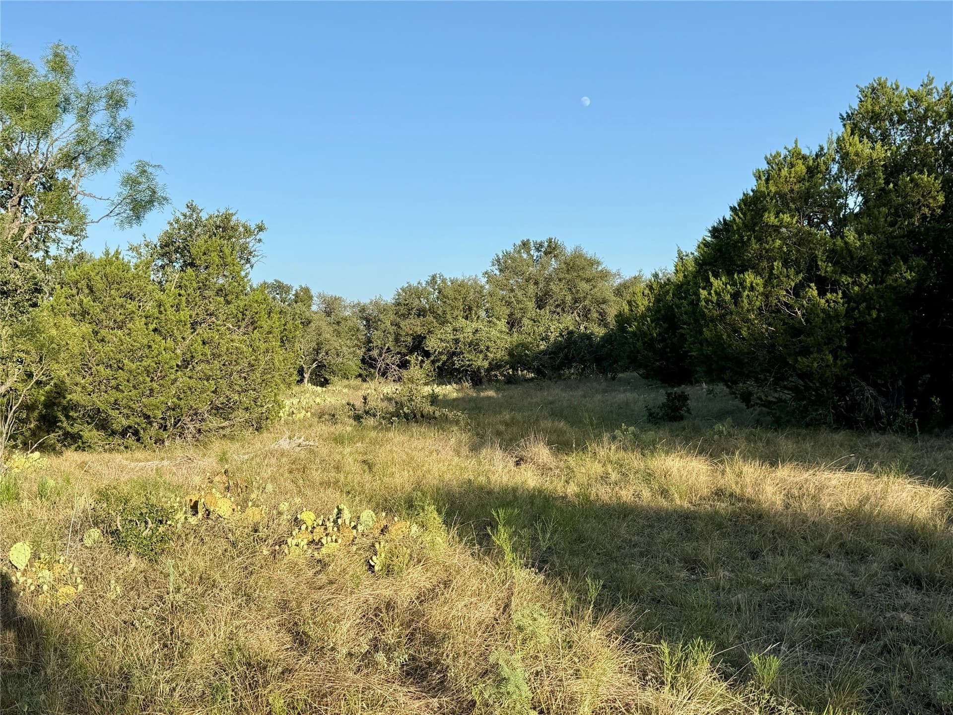 135.76 acres in Brown County - photo 27