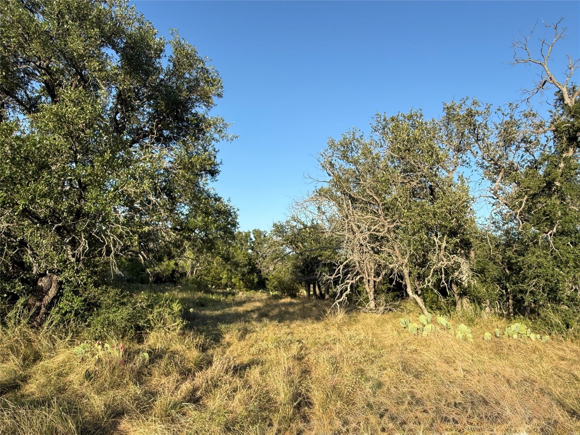 135.76 acres in Brown County - photo 21