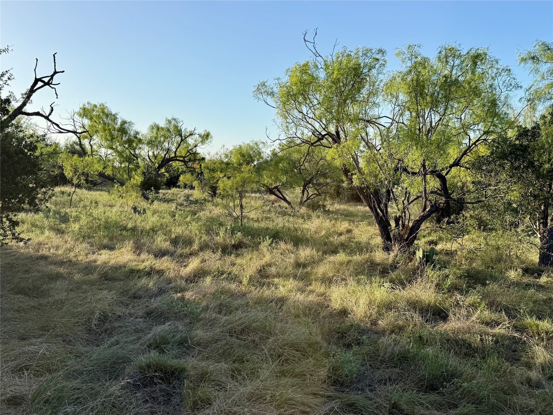 135.76 acres in Brown County - photo 35