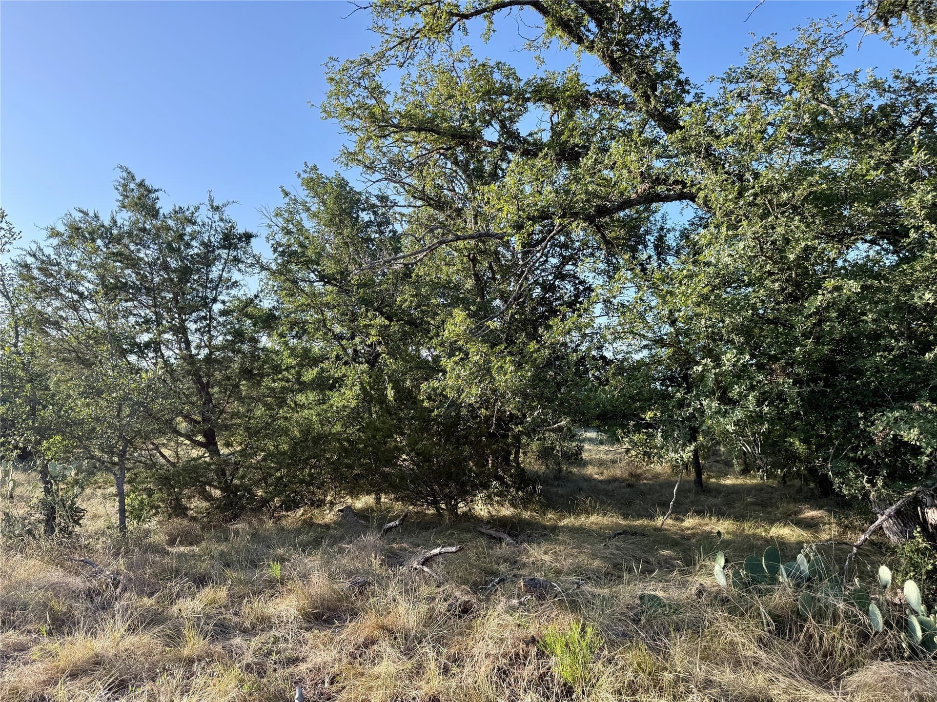 135.76 acres in Brown County - photo 26