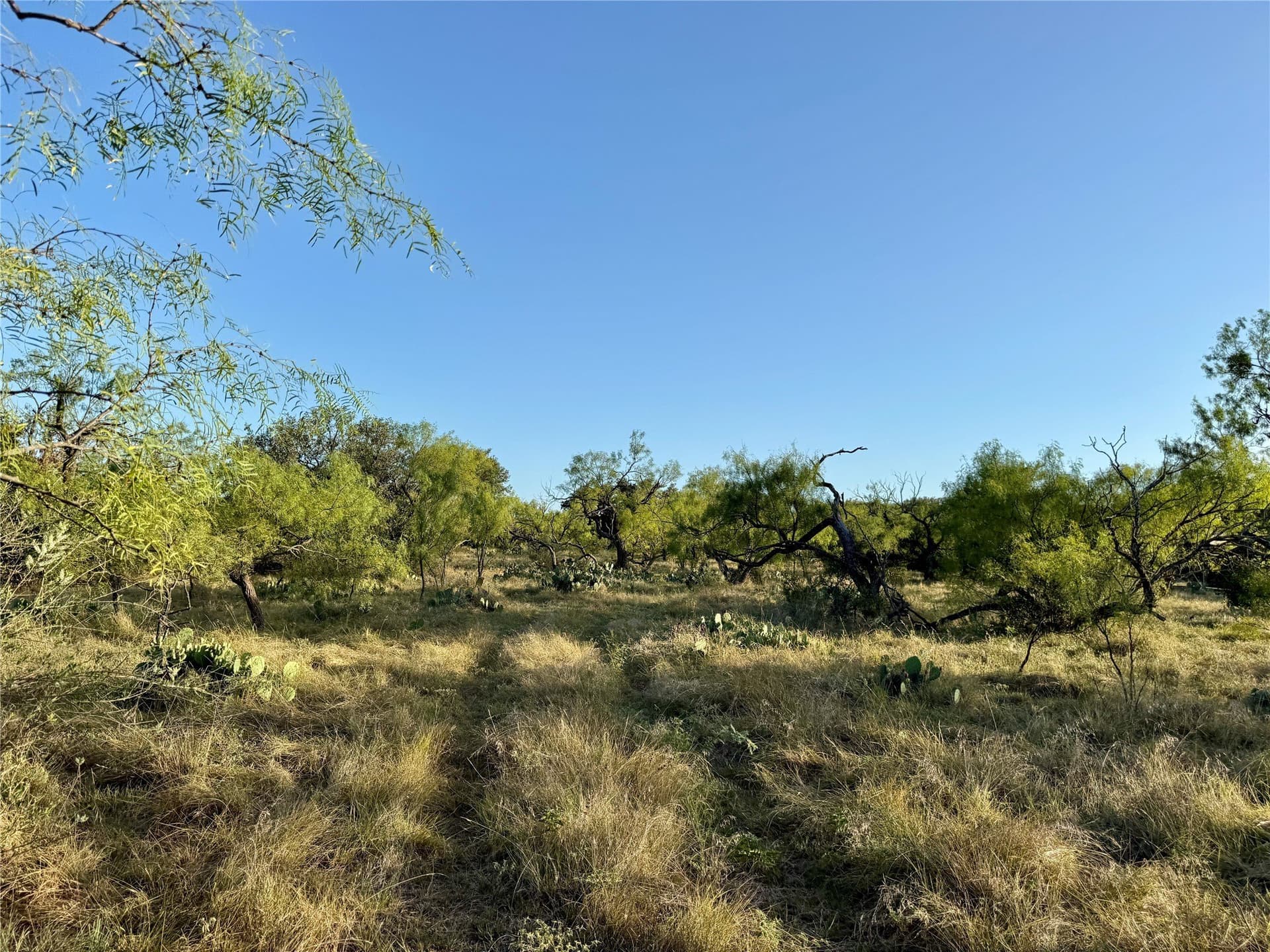 135.76 acres in Brown County - photo 31