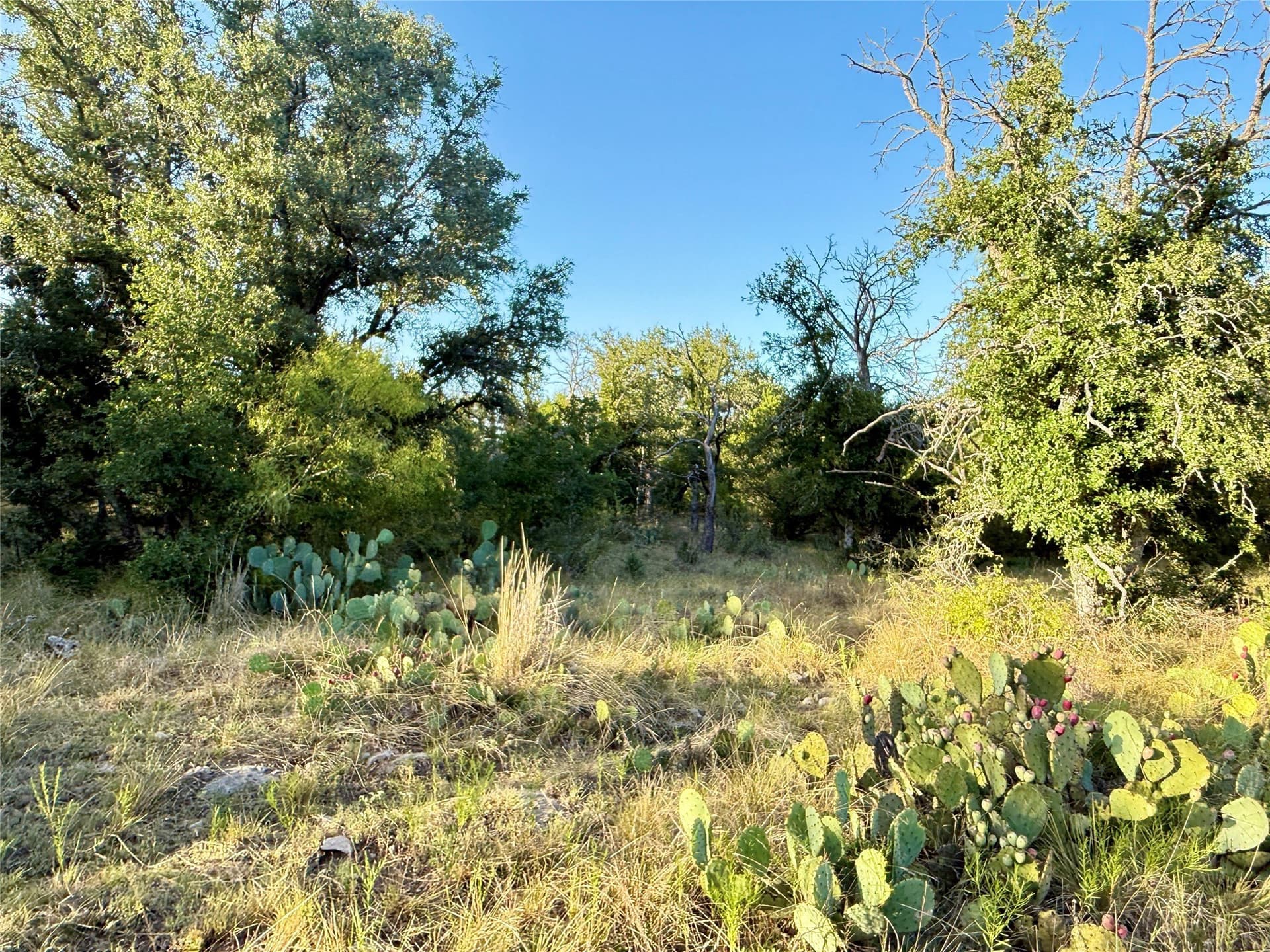 135.76 acres in Brown County - photo 24