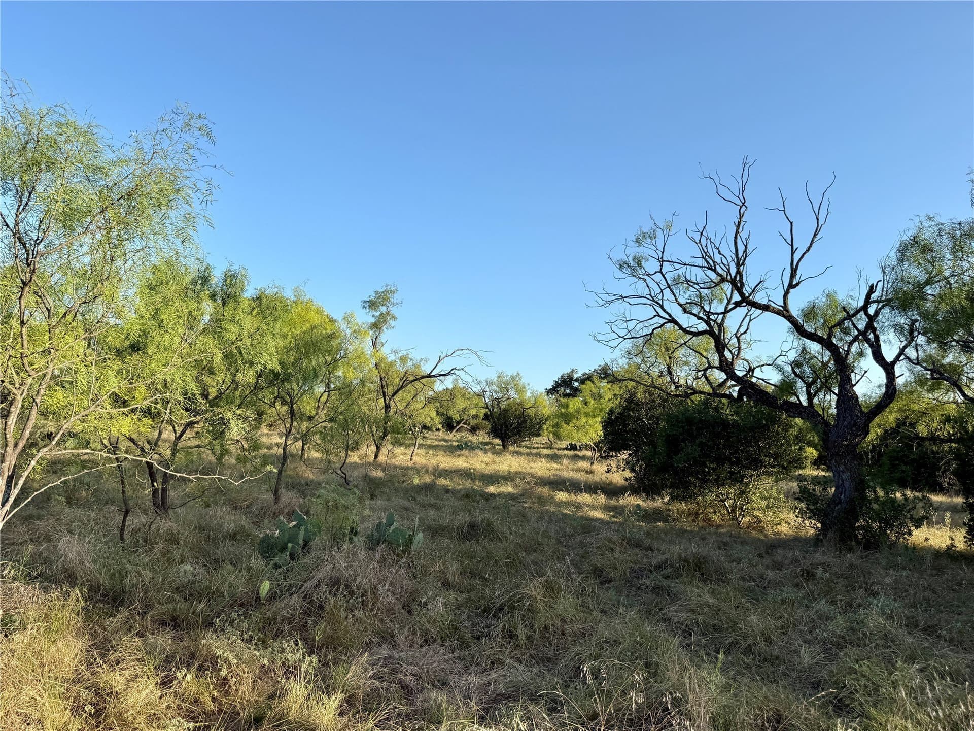 135.76 acres in Brown County - photo 33