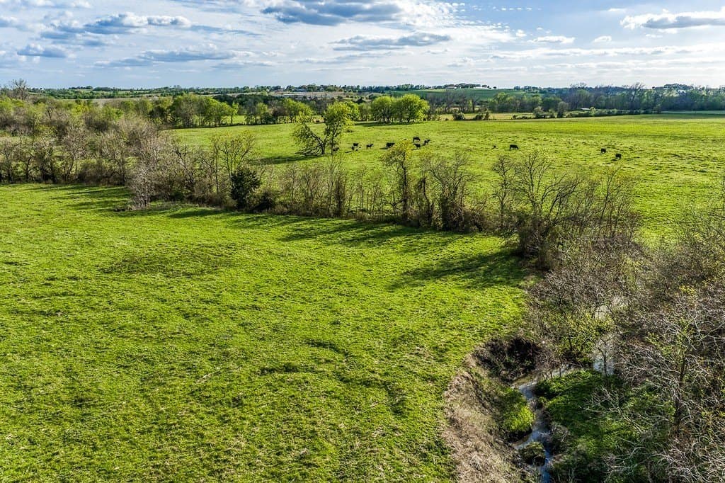 35 acres in Washington County - photo 3