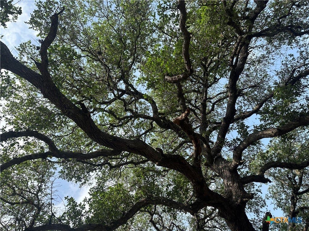 10.45 acres in Goliad County - photo 8